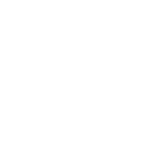 weißer Stern